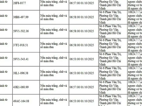 294 chủ xe đi ngược chiều, đi trên vỉa hè có biển số sau nhanh chóng nộp phạt nguội theo Nghị định 168