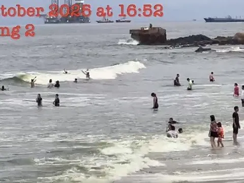 Thông tin lan truyền nước biển Vũng Tàu có màu xanh lá cây: Cơ quan chức năng lên tiếng