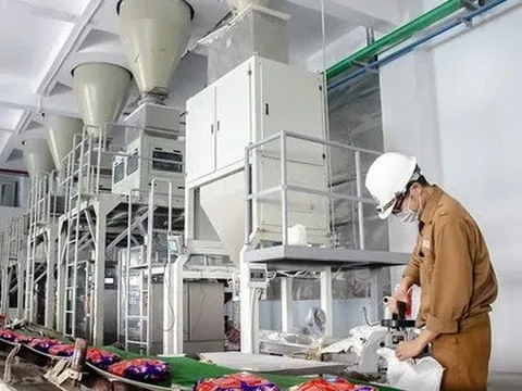 Hóa chất Đức Giang ‘ôm’ hơn 12.700 tỷ đồng tiền gửi ngân hàng, quý III/2025 lãi ròng 804 tỷ đồng