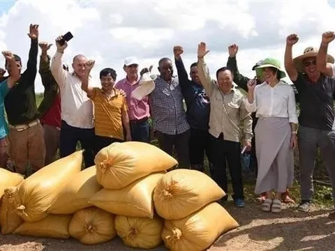 Một kỳ tích "made by Vietnam" xuất hiện, Cuba đặt mục tiêu lớn trong năm 2026