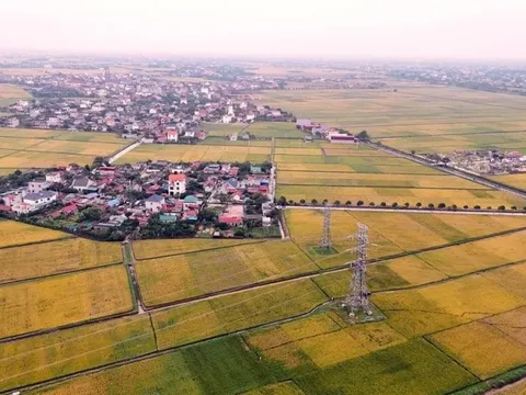 Hoàn thành thay thế cách điện đường dây 220kV mạch kép Thái Bình – Tiền Hải – Trực Ninh