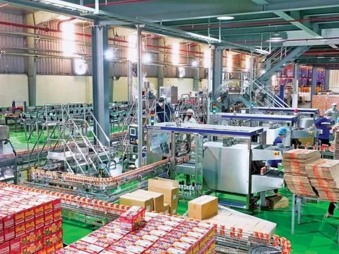 Chi phí leo thang, lợi nhuận Sữa Lof “trượt dốc” trong quý III/2025