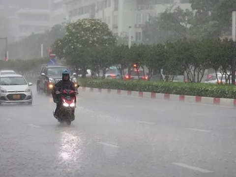 Tin gió mùa Đông Bắc mới nhất: Từ mai, nhiều nơi mưa to đến rất to
