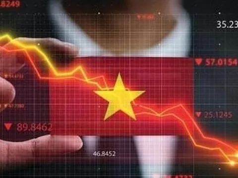 IPO tại Việt Nam: Từ hành trình chiến lược đến niêm yết hiệu quả