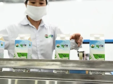 Lợi nhuận lao dốc, Mộc Châu Milk vẫn chi mạnh cho dự án nghìn tỷ