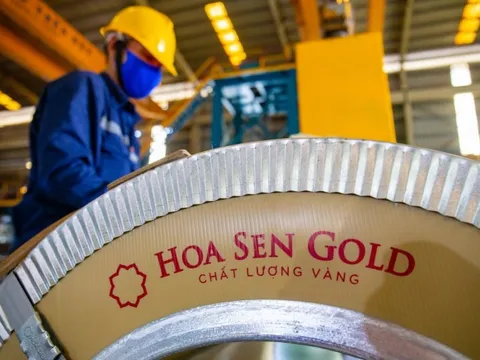 Hoa Sen báo lãi 732 tỷ đồng, vượt xa kế hoạch năm dù doanh thu đi lùi