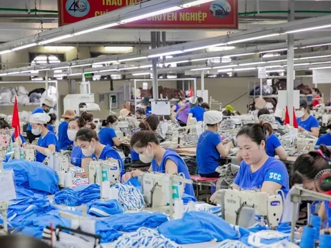 TNG được gia hạn doanh nghiệp ưu tiên, trả cổ tức tiền mặt đợt 2/2025