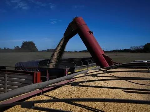 Trung Quốc tạm dừng mức thuế 24%, đậu tương của Mỹ vẫn đánh mất lợi thế vào tay một ông trùm nông sản: Là nhà cung cấp lớn nhất của Việt Nam nhiều năm qua