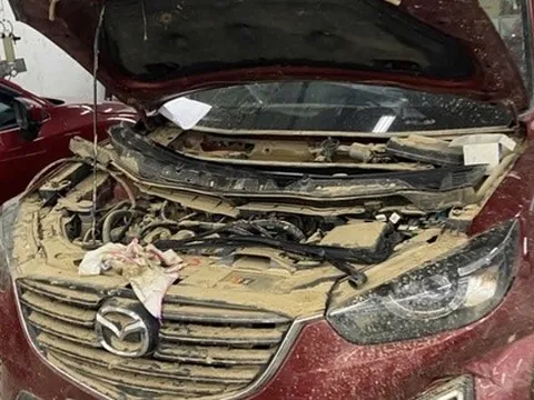 Bảo hiểm chi trả hàng trăm tỉ đồng tiền bồi thường thiệt hại do bão, lũ