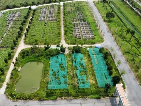 Hà Nội giao hơn 17ha đất để xây nhà liền kề và nhà ở xã hội