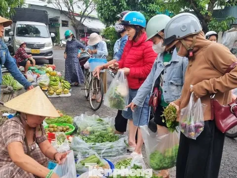 'Mấy hôm nay mua rau đắt hơn cá thịt'