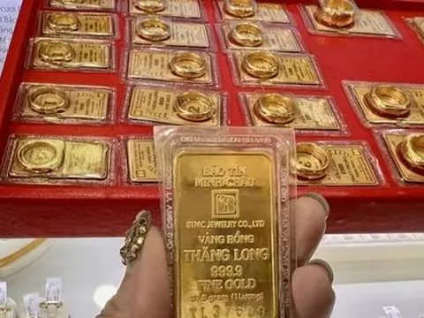 Sáng 8/11: Giá vàng SJC, giá vàng nhẫn bất động hiếm thấy