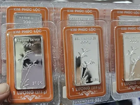Giá bạc hôm nay 7-11: Hai thương hiệu lớn biến động ngược chiều