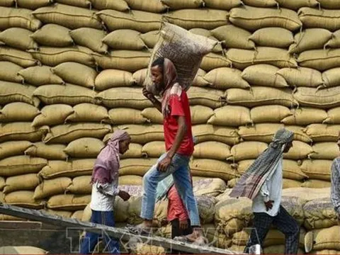 Cầu yếu, cung tăng gây sức ép lên giá gạo xuất khẩu của các nước châu Á