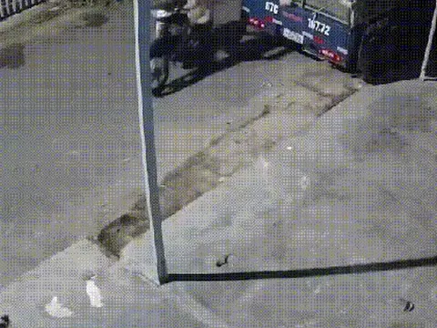 CLIP: Kẻ trộm táo tợn bị ghi hình ở An Giang