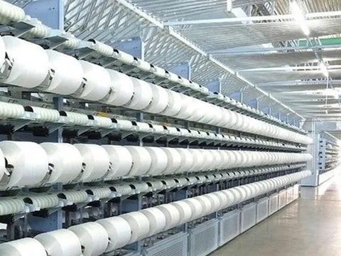 Sợi Thế Kỷ tăng vốn điều lệ vượt 1.400 tỷ đồng sau đợt trả cổ tức