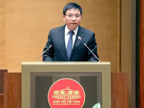 Tin vui: Xuất khẩu gạo, dịch vụ kế toán và 23 ngành khác được Chính phủ đề xuất không cần xin giấy phép kinh doanh