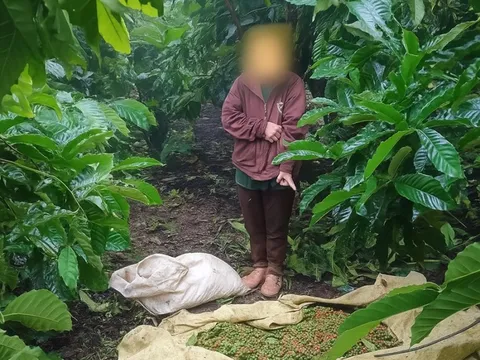 Bắt Phạm Thị Thanh Lương