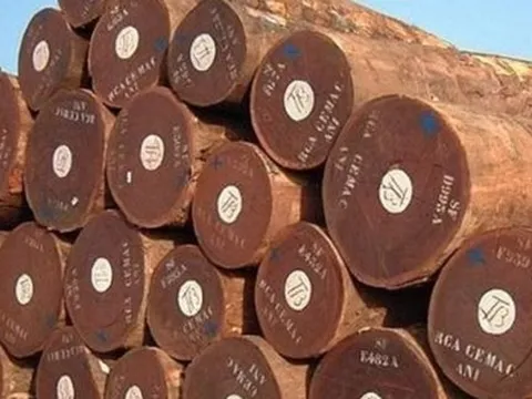 Cứu tinh từ Campuchia đổ bộ giúp Việt Nam cạnh tranh với Thái Lan ngôi vương của thế giới: Thuế nhập khẩu ưu đãi 0%, thế giới đang ngày càng khan hiếm