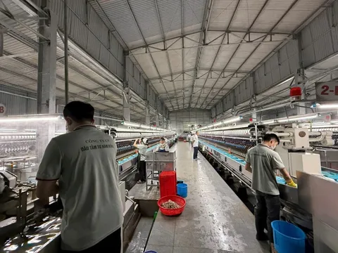 Bên trong nhà máy sợi tơ tằm xuất khẩu giá 1,6 triệu đồng/kg của Bầu Đức có gì?