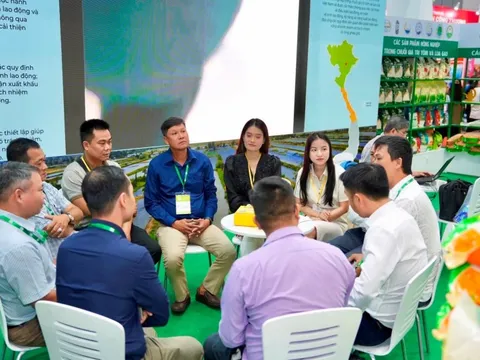 VCCI hỗ trợ doanh nghiệp và HTX trong chuỗi giá trị tôm và lúa gạo tăng cường liên kết, tiếp cận thị trường quốc tế