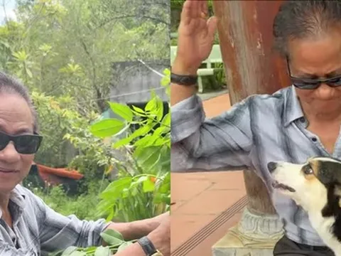 Chế Linh khoe khoảnh khắc hiếm có trong nhà thờ Tổ của Hoài Linh: "Khó quên"