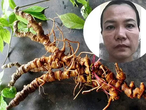 Bắt tạm giam Trương Thị An