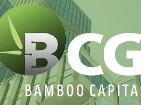 Bamboo Capital sẽ tổ chức đại hội cổ đông bất thường, dự kiến miễn nhiệm hàng loạt lãnh đạo