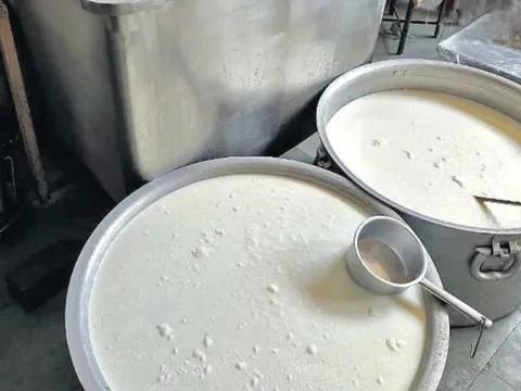 Đột kích một nhà máy lúc 9 giờ tối, công an triệt phá đường dây sản xuất sữa giả từ hóa chất, tịch thu dầu thực vật, sorbitol và máy pha trộn công nghiệp