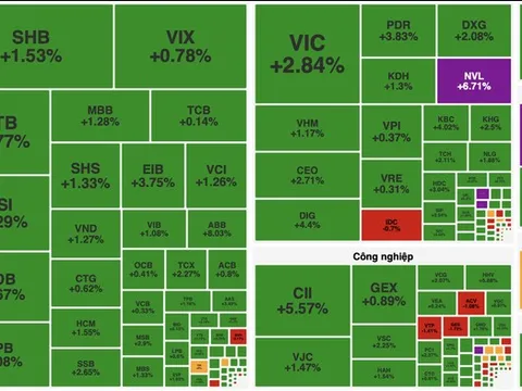 VN-Index tăng gần 19 điểm, sắc xanh phủ kín bảng điện