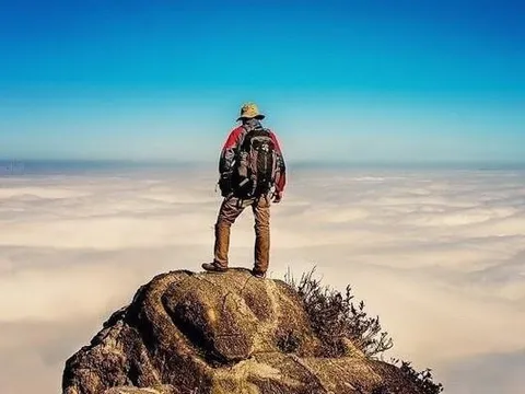 Một doanh nghiệp đầu ngành được dự báo lợi nhuận 2026 lập đỉnh mới, cổ tức có thể đạt 17.000 đồng/cp