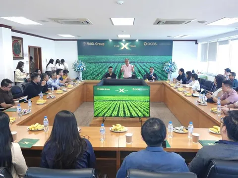 Sự trở lại của HAGL và dấu ấn “kiến trúc sư” OCBS trong bức tranh chiến lược mới