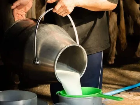 Đột kích vào nhà dân, cảnh sát triệt phá đường dây sữa giả chỉ hoạt động vào đêm và sáng sớm, tiêu hủy 400 lít sữa pha chế từ hóa chất