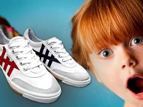 UBND Hà Nội thoái toàn bộ vốn Giày Thượng Đình, dự thu ít nhất 130 tỷ đồng