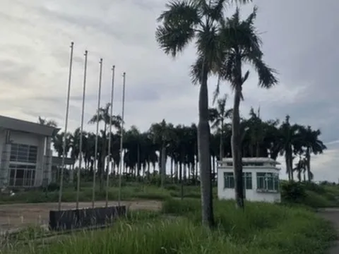 Số phận siêu dự án của đại gia Hứa Thị Phấn