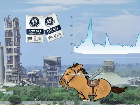 Doanh nghiệp xi măng gần 50 năm tuổi bị huỷ tư cách công ty đại chúng, rời sàn chứng khoán sau 17 năm