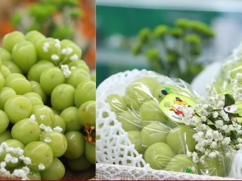 Cận cảnh loạt trái cây 'hot' bị nhái nguồn gốc, lừa người tiêu dùng