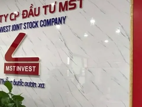 MST chào bán thành công 30 triệu cổ phiếu cho 9 nhà đầu tư trong nước