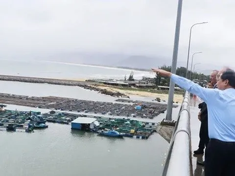 Gia Lai mời gọi đầu tư siêu dự án nhà máy điện gió hơn 48.000 tỉ đồng