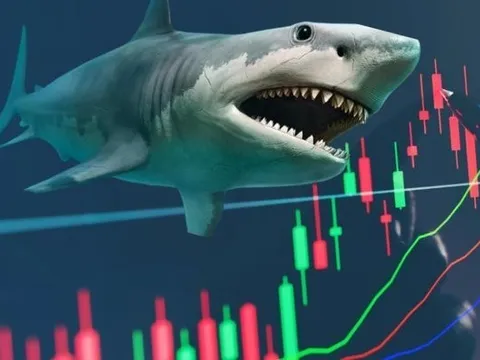 Thực hư chuyện quỹ ngoại quy mô 500 triệu USD phải bán toàn bộ danh mục cổ phiếu Việt Nam khi nâng hạng