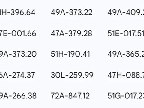 44 chủ xe đi ngược chiều, bị phạt nguội theo Nghị định 168 ở các tỉnh