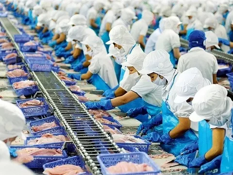 Doanh nghiệp nông sản đồng loạt kiến nghị về thuế giá trị gia tăng