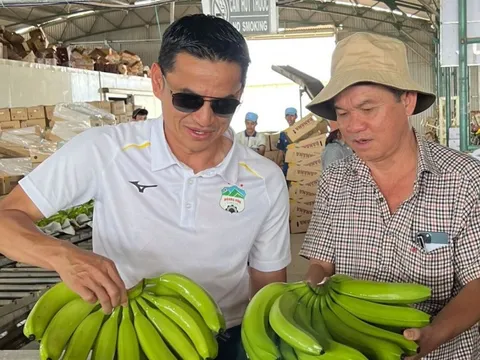 Ván bài mới của bầu Đức