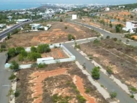 Người dân kiến nghị nhanh chóng thu hồi 45 tỉ đồng tại dự án Tân Việt Phát 2