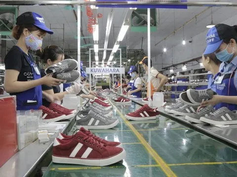 Cổ phiếu Giầy Thượng Đình chạm trần 8 phiên liên tiếp giữa bối cảnh thoái vốn Nhà nước