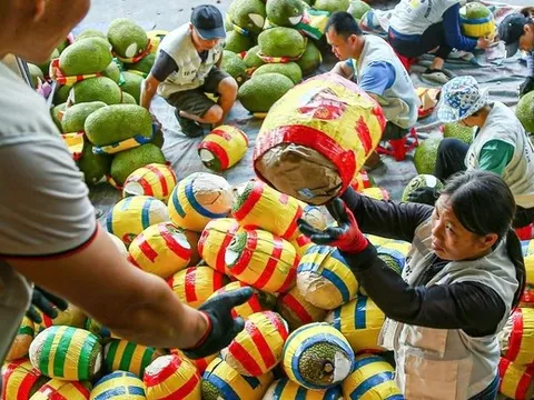 1 loại trái cây của Việt Nam chính thức được xuất khẩu chính ngạch sang Trung Quốc: Nông dân thu lợi lớn!