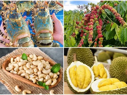 Điểm danh loạt hàng Việt Nam đạt kỷ lục xuất khẩu, nức tiếng thế giới