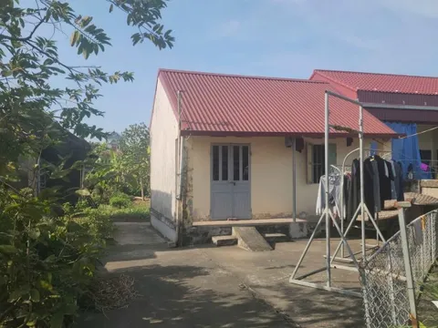 Mẹ Nguyễn Xuân Đạt xác nhận con mình biệt tích 10 năm nay