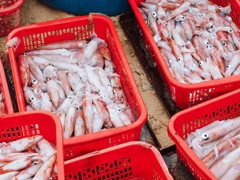 Không phải sầu riêng, một kho báu của Việt Nam được Thái Lan liên tục săn lùng: Xuất khẩu tăng trưởng mạnh, nước ta thu về hàng trăm triệu USD