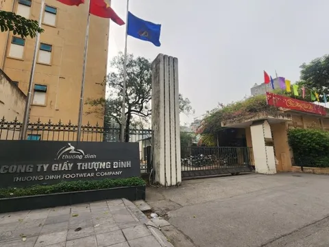 Cổ phiếu tăng trần 12 phiên liên tiếp, Giầy Thượng Đình lên tiếng giải trình